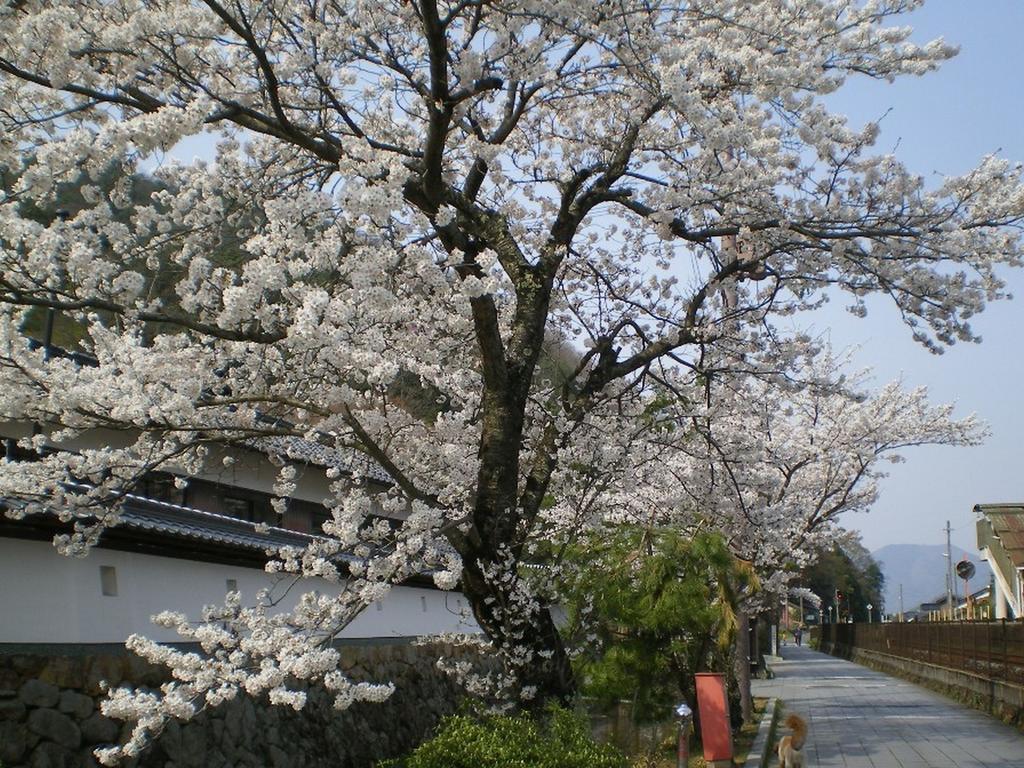 Terakoya Hanatei Asago Buitenkant foto